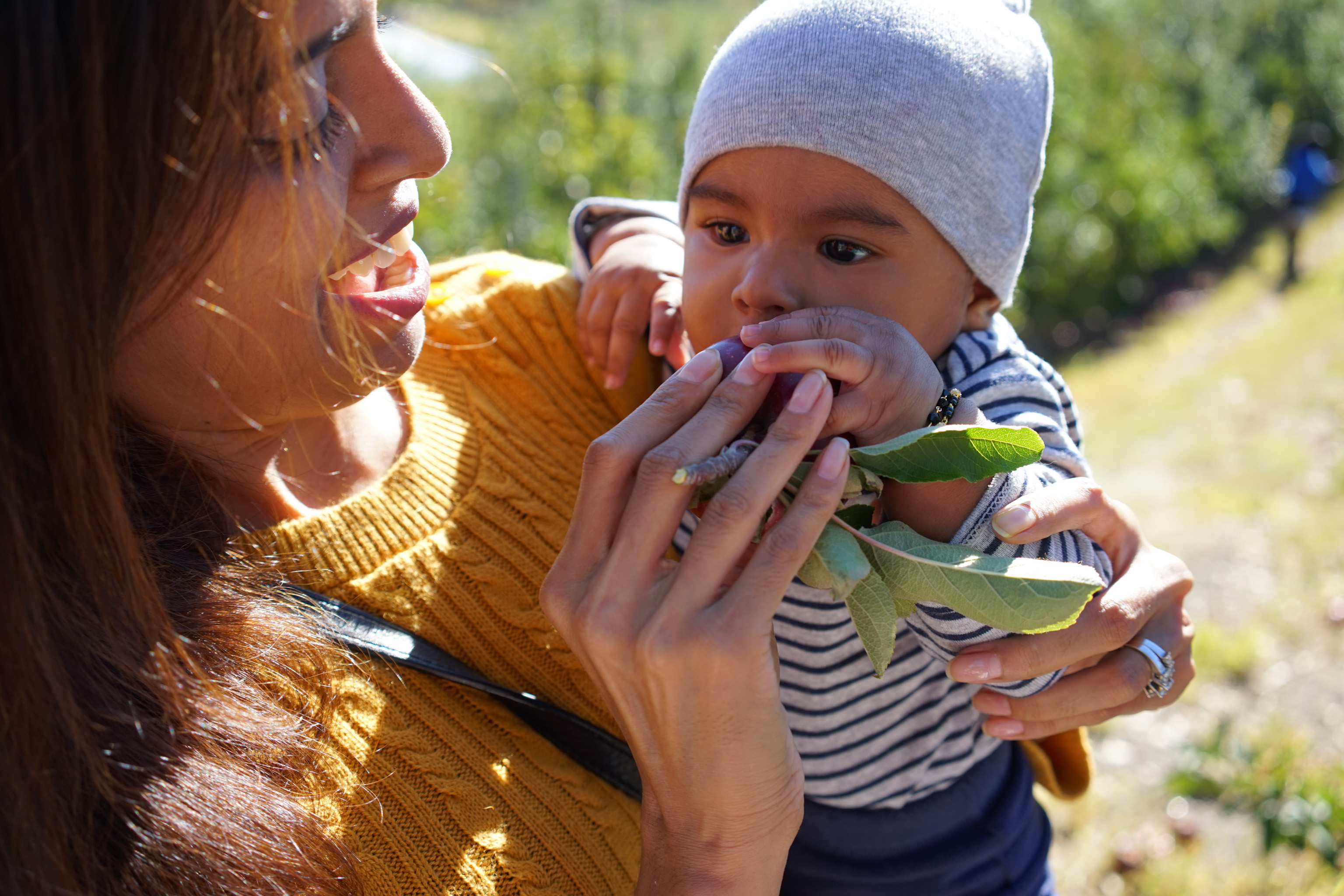 Trying to steal my first taste of an apple